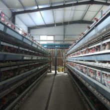 藁城區(qū)兵海籠具加工廠 供應產品